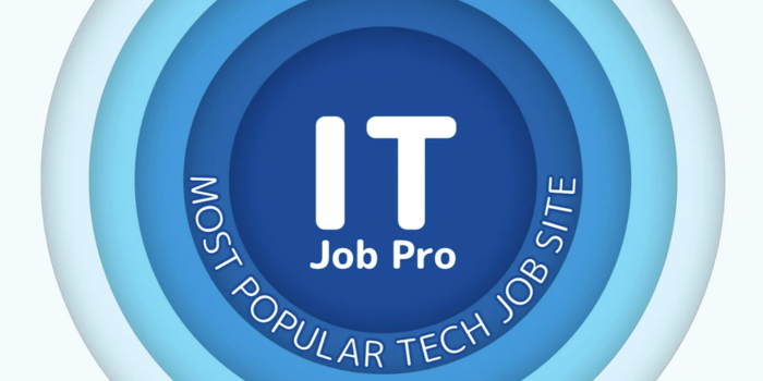 IT Support Jobs it job pro